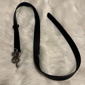 Disturbia snake belt